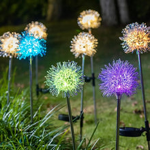 Solar Powered Dandelion Garden Lights (2 Pc)