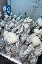 Button Mushroom Spawn / Seeds- Agaricus Bisporus