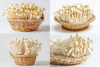 15-Minute Mushroom & Spawn Production Masterclass (1-on-1 Expert Call)