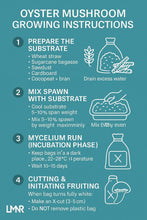 White Oyster Big Petal Mushroom Spawn/Seeds 750Gm