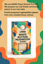 Button Mushroom Spawn / Seeds- Agaricus Bisporus