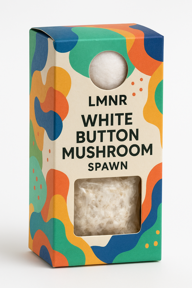 Button Mushroom Spawn / Seeds- Agaricus Bisporus